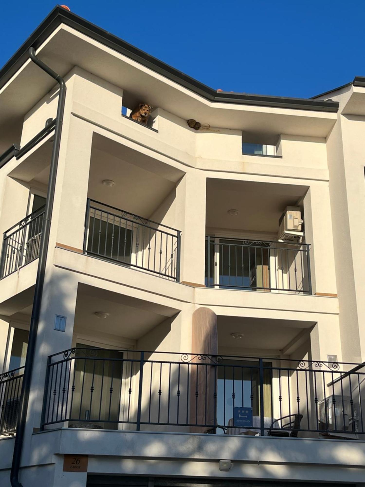 Apartments Amore * Baška